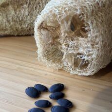 REGALO SEMILLAS DE LUFFA